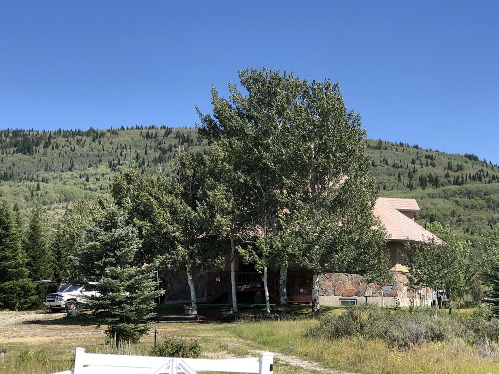 Eagle's Nest Ranch: 75 Perimeter Drive, Alta, WY 83414